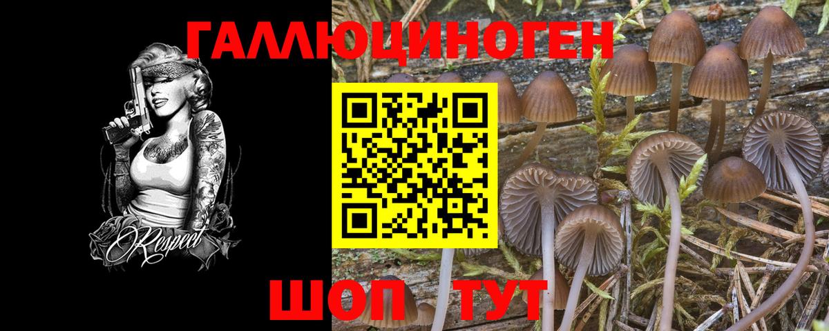 Батайск  Псилоцибиновые грибы GOLDEN TEACHER  Вход с VPN 